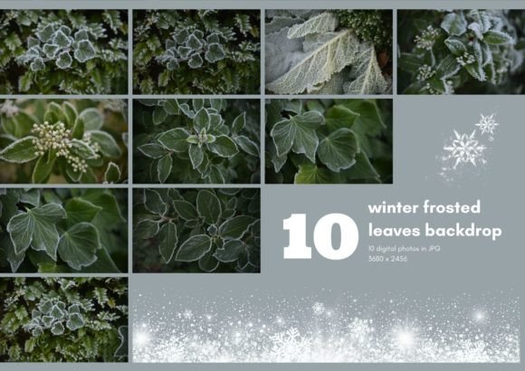 Magic Winter Backdrop in Jpg: Nature Craft
